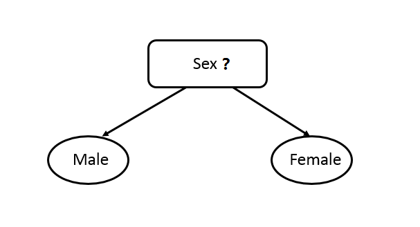 Test condition for binary attributes.